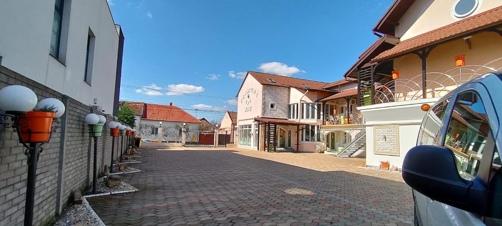 Pensiunea Sergiu & Geanina Arad Exterior foto
